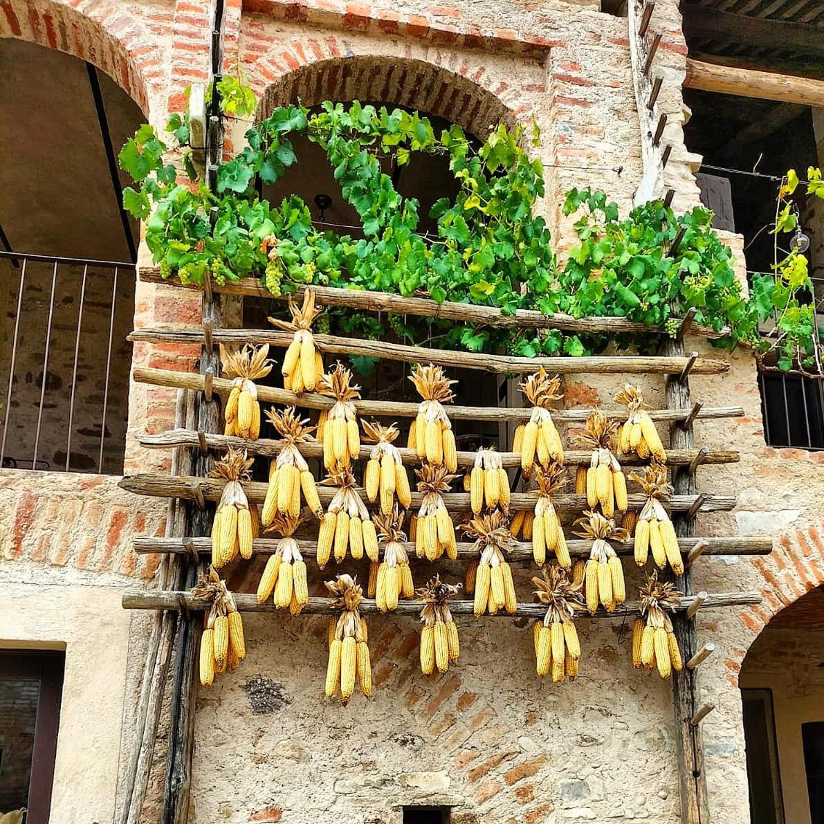 Bed and Breakfast Per Sognare Per Sugnè Lesegno Esterno foto